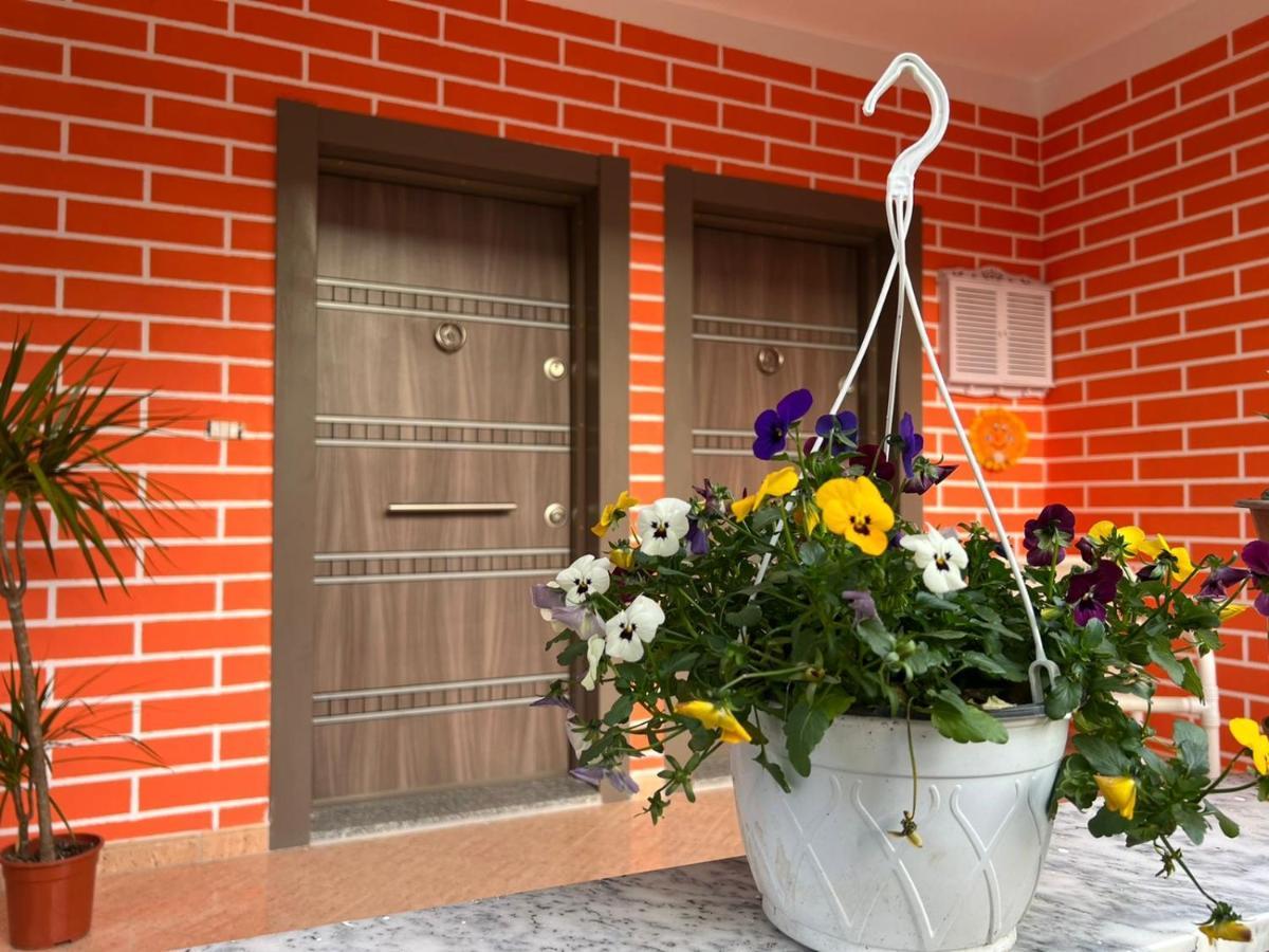 Chestnut Yard Villa Тирана Экстерьер фото